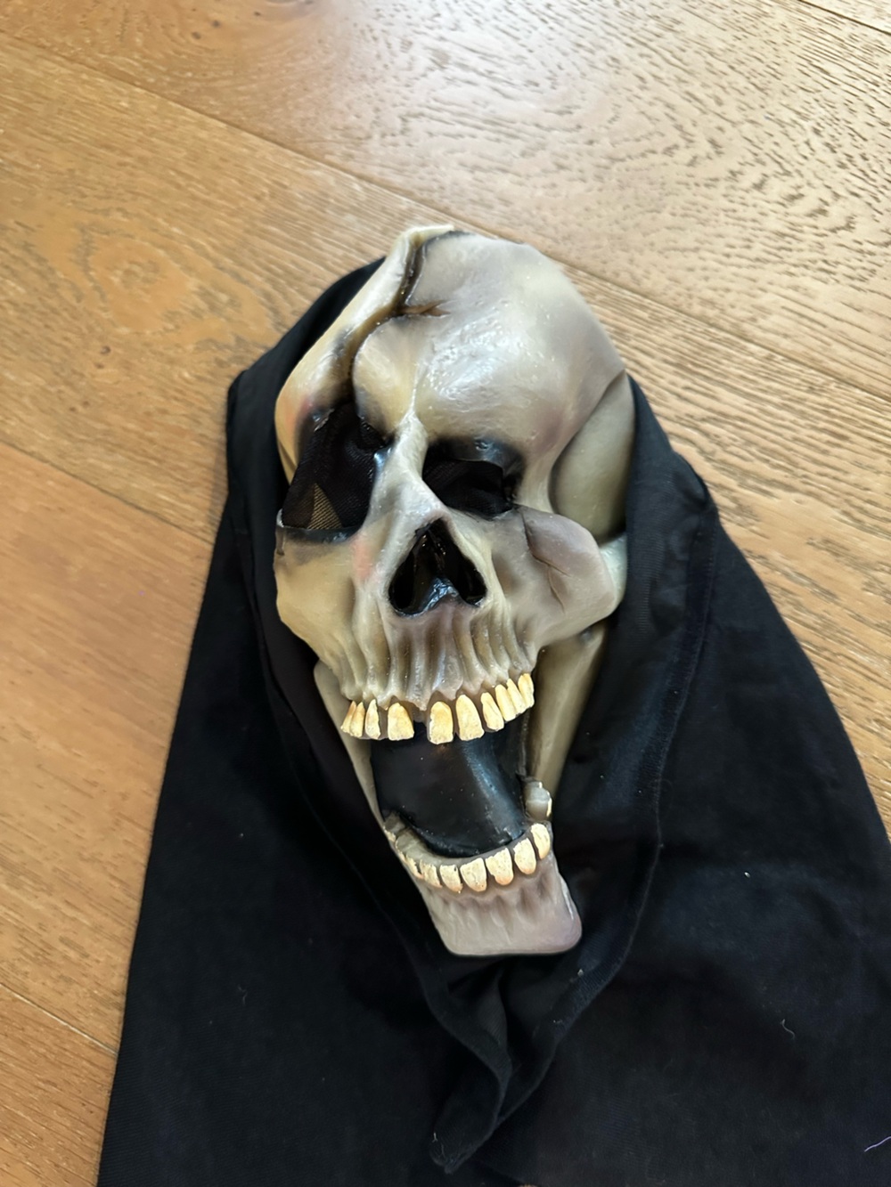 Halloween mask Skull in Black and Bone